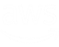 AWS_White
